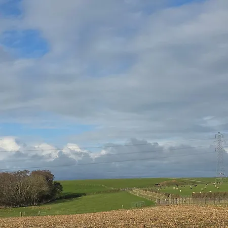 Semesterbostad Daisy *